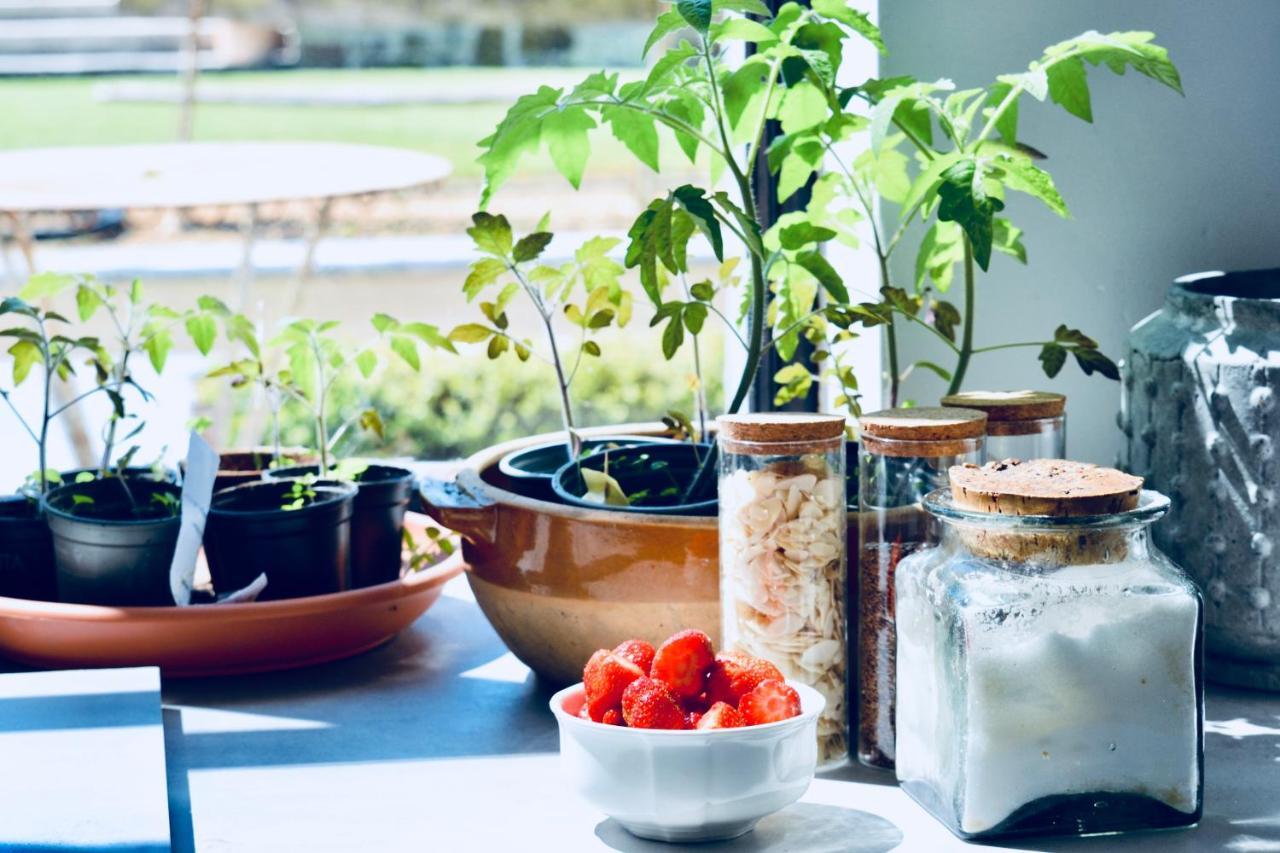 Le Relais Du Moustier Appartement Grune Buitenkant foto