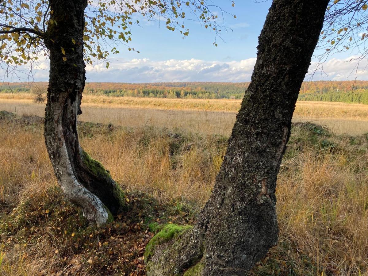 Le Relais Du Moustier Appartement Grune Buitenkant foto