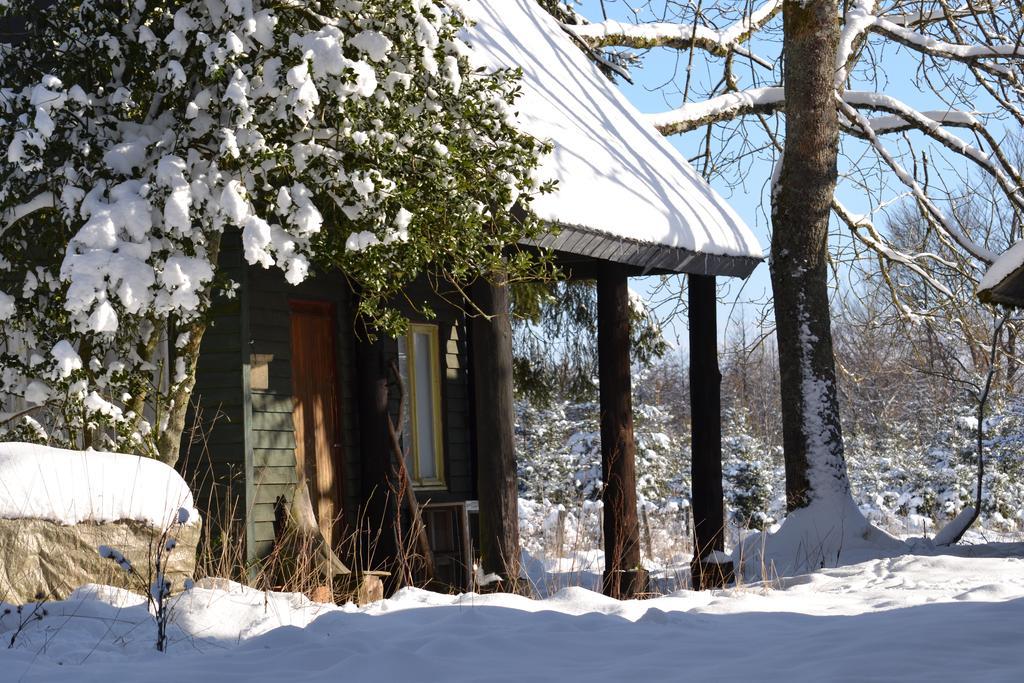 Le Relais Du Moustier Appartement Grune Buitenkant foto